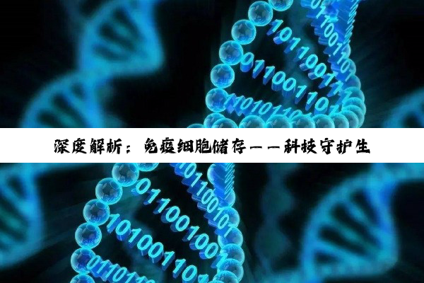 深度解析:免疫细胞储存——科技守护生命健康的未来之选
