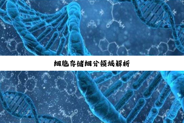 细胞存储细分领域解析