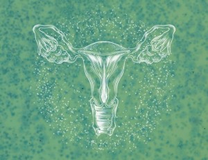 探索最佳阴道微生物组(zǔ)的(de)奥(ào)秘(mì)-1