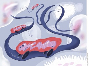 线粒体转移-1